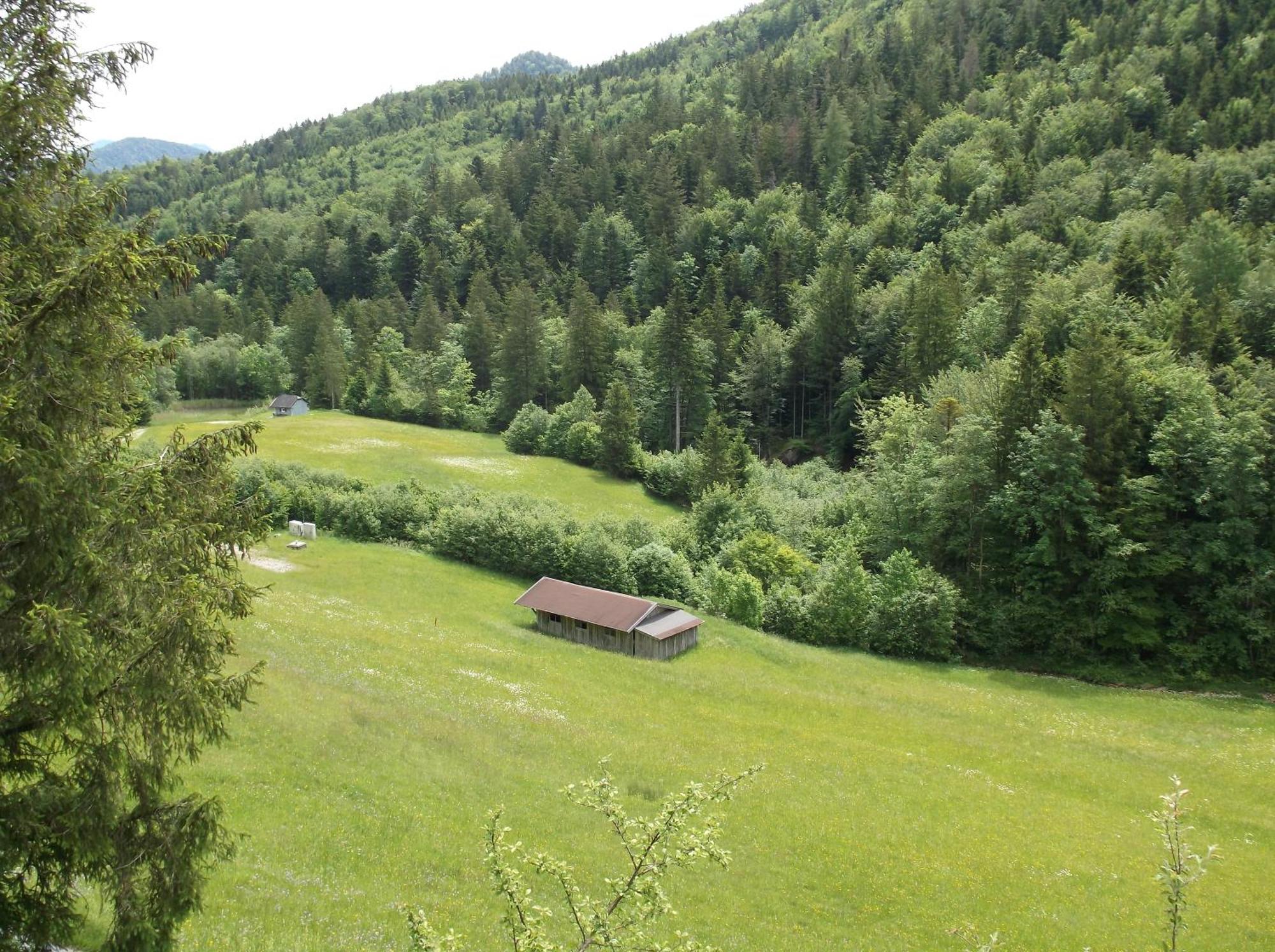 Kleine Einfache Ferienwohnung In Malerischer Umgebung Salzburgs Koppl Zewnętrze zdjęcie